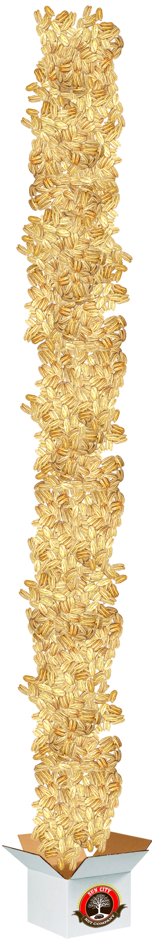 Sun City Nut Company