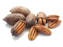 Sun City Nut Company