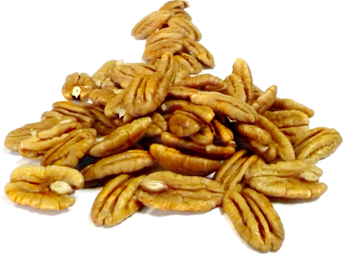 Sun City Nut Company